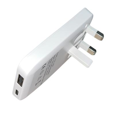 Image of USB and USB-C Folding Plug