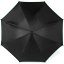 Image of Umbrella which opens automatically.